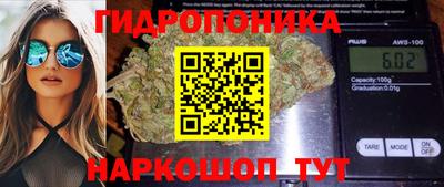 Альфа ПВП Гусиноозёрск