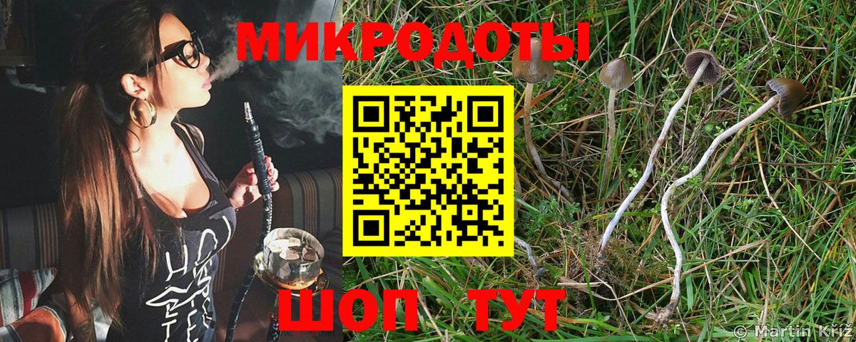 Галлюциногенные грибы прущие грибы  Вход с VPN  Миллерово  Галлюциногенные грибы прущие грибы 